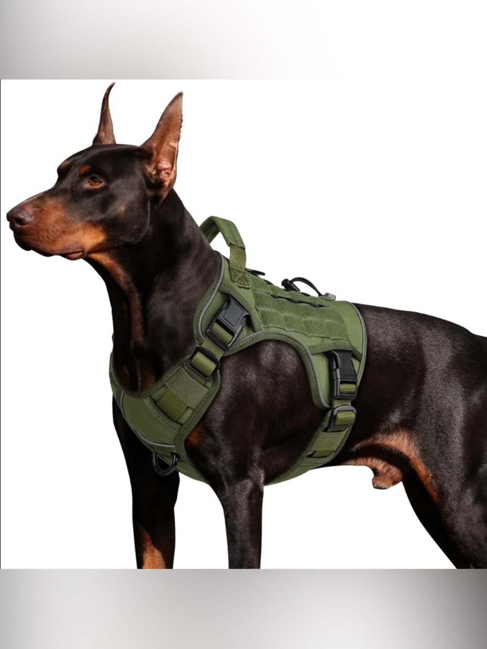 Wingoin Heavy Duty Tactical Dog Harness- Size L- BNWOT